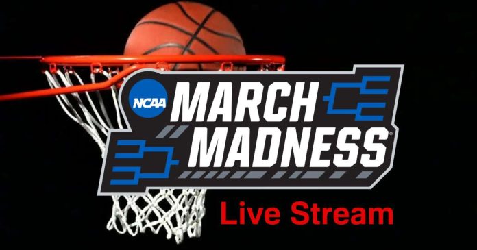 How to Watch NCAA March Madness 2024 Live Online Free